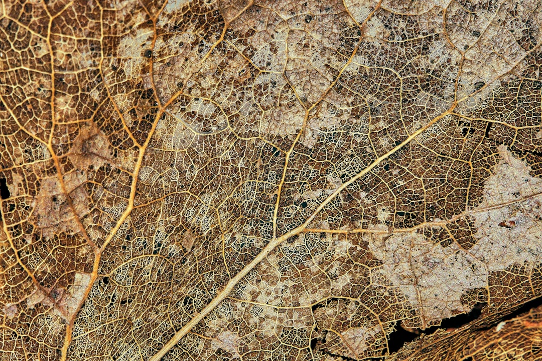 Tendencias IA en España